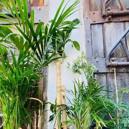 Appartement Casa Venado - Oaxaca *